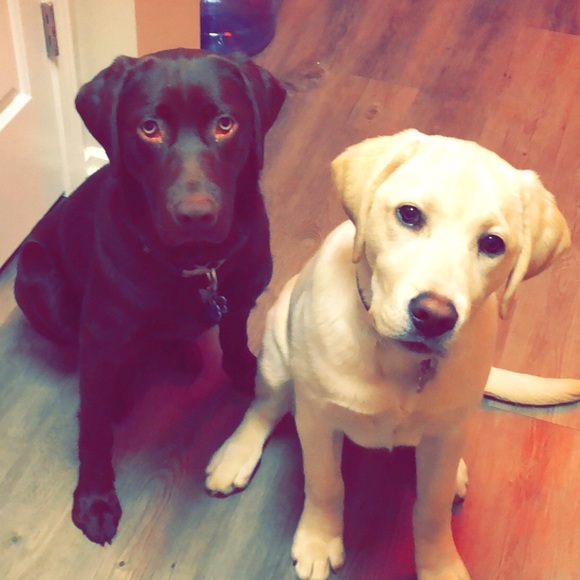 Meet Your Buyer/Seller - Picture 6 of 8